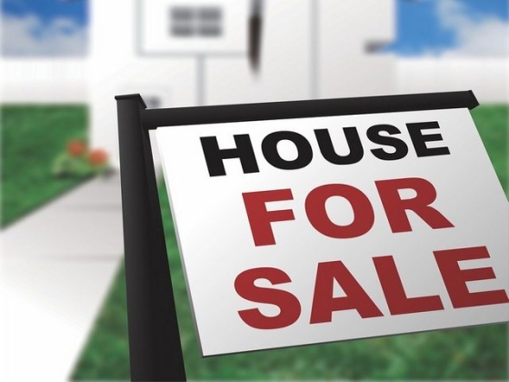 Real Estate Services
